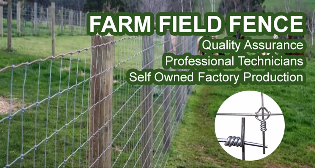 Galvanized Fixed Knot Deer Fence Cattle Deer Horse Field Fence for Farm