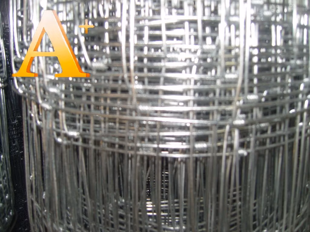 Hot Dipped Galvanized Hinged Knot Deer Fence