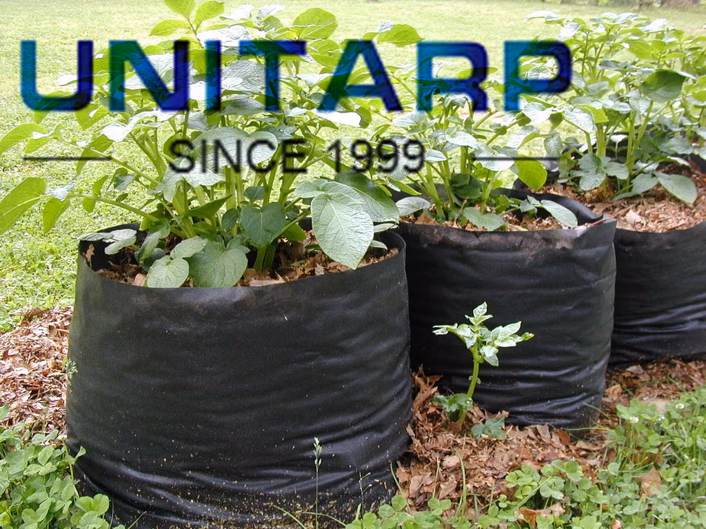 Innovative Plant Cultivation Grow Bags Ideal for Urban Gardening with Space Saving Designs for Small Balconies