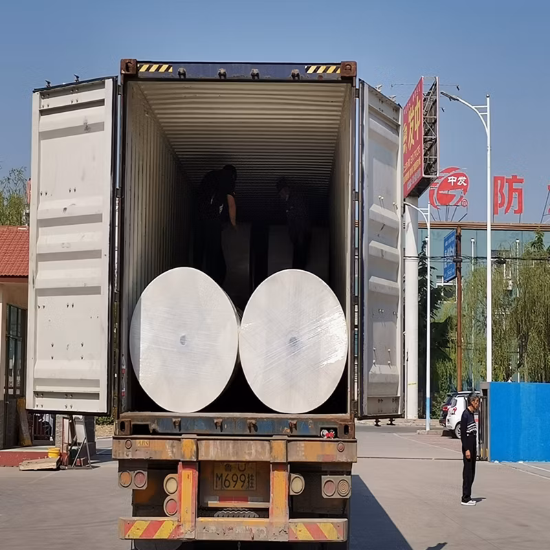 China Factory Polyester Non-Woven Geotextile Fabric