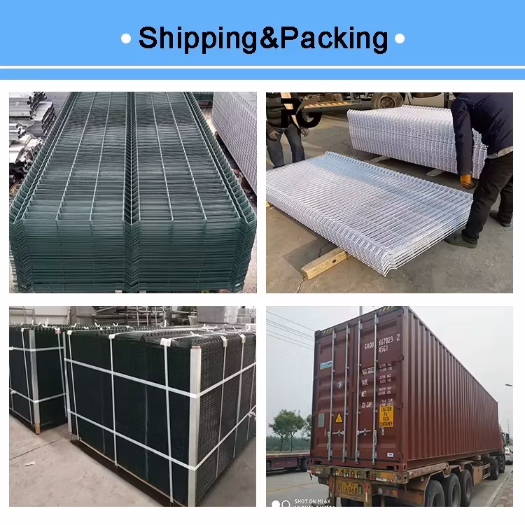 Hsj Powder Coated Curvy Welded Mesh Fence Bending 3D Fence for Swimming Pool