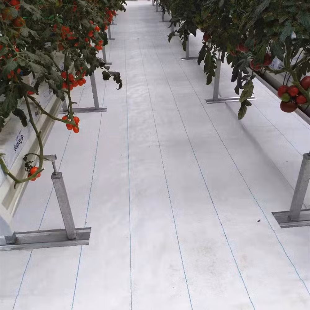 Hot Sale PP PE Woven Weed Mat Ground Cover for Agriculure Using