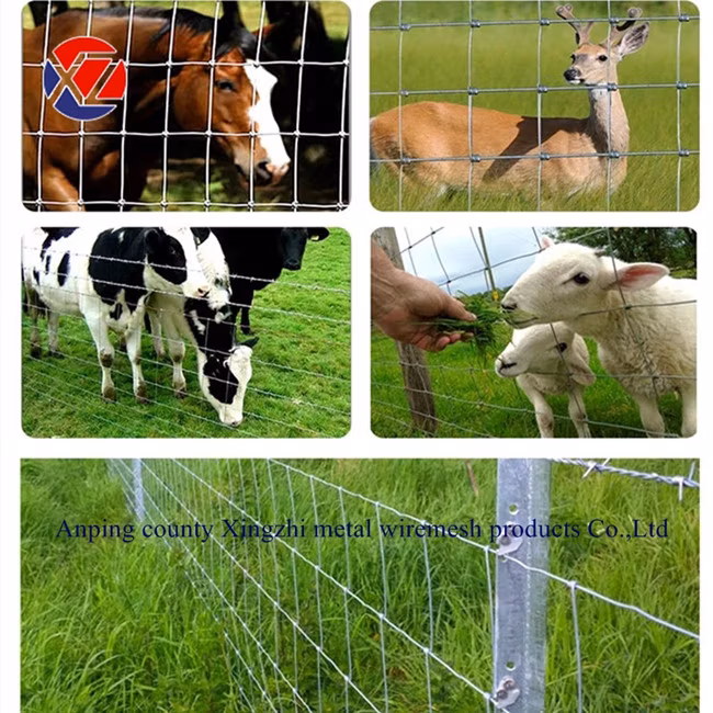 Sheep/Deer/Cattle/Goat Farm Fence Wire