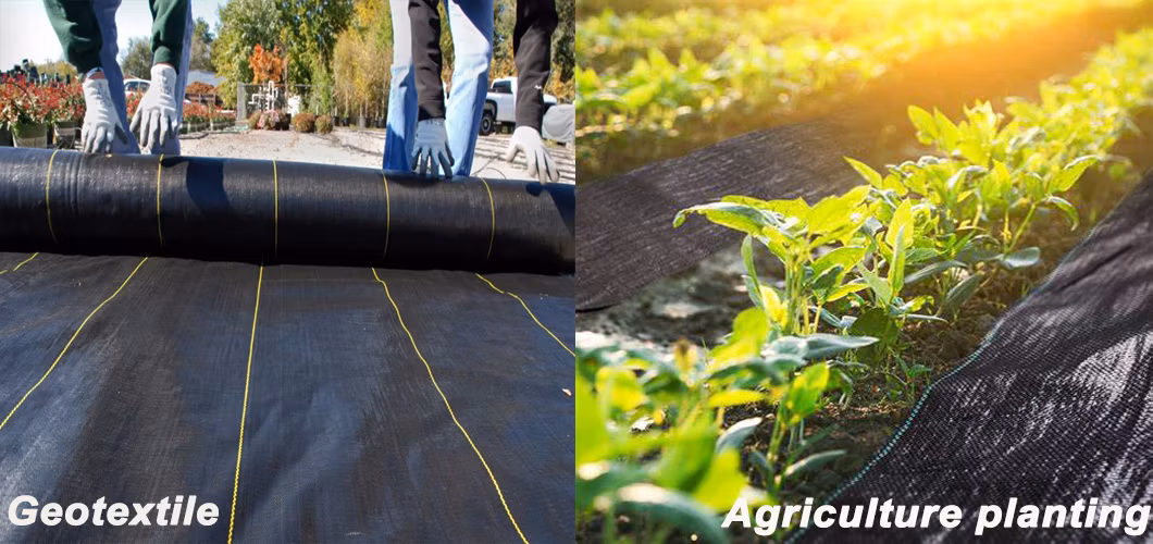PP/PE Woven/Non-Woven Plastic Weed Control Block Fabric for Agricultural
