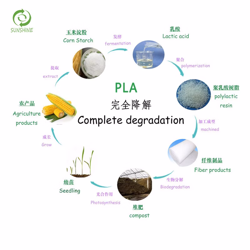 High Quality Biodegradable Corn Material PLA Spunbond Nonwoven Fabric Corn Fiber PLA Nonwoven Fabric Eco-Friendly Fabric