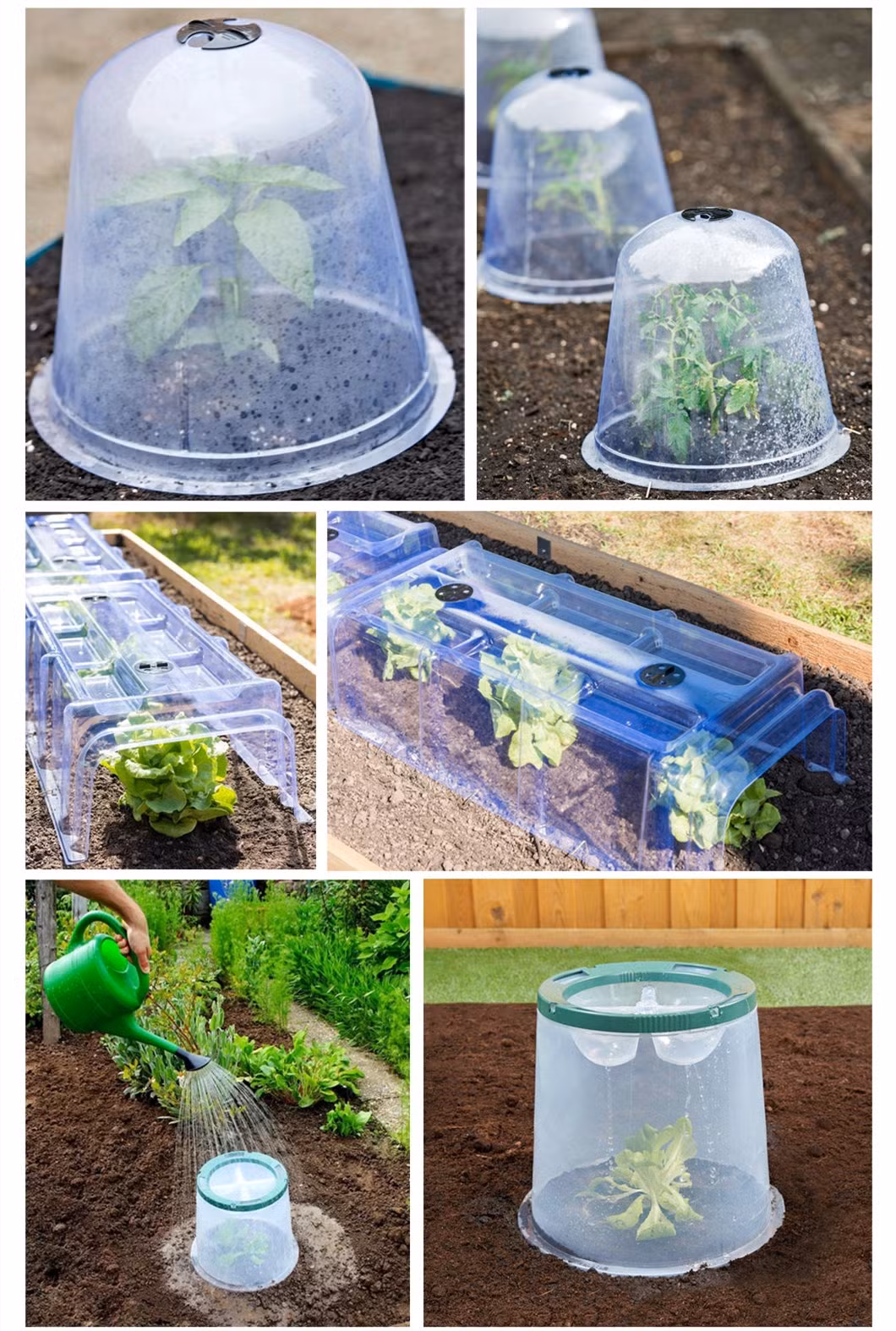 Season Extension Warming Soil Plastic Plant Freeze Protector Cover Injection Mould