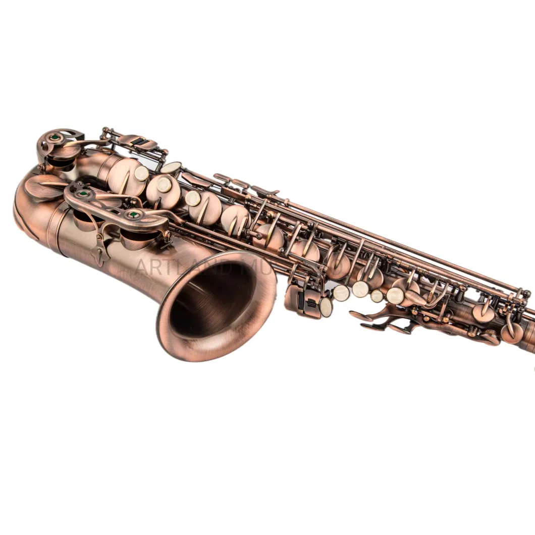 Eb Alto Saxophone Antique Finish Red Bronze, Light Carbon Saxophone Case (AAS5507AG)