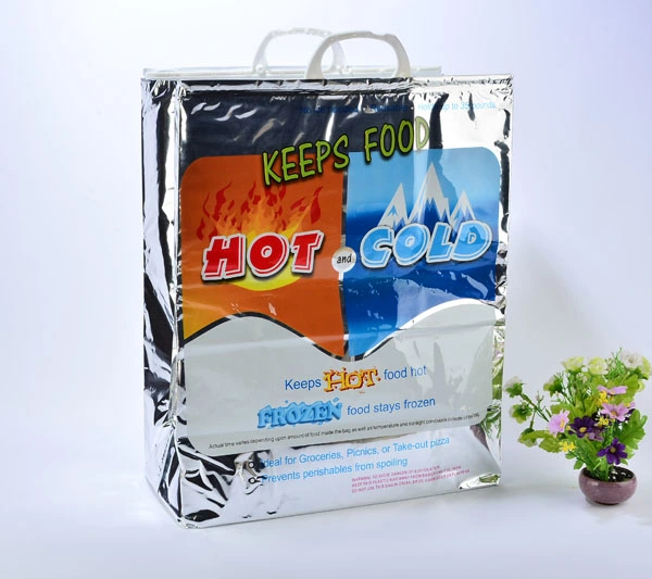 Thermal Shopping Bag for Grocery Supermarket Aluminum Foil Ice Storage Bags Insulated Beach Food Thermal Bag Durable Outdoor Cooler Bag