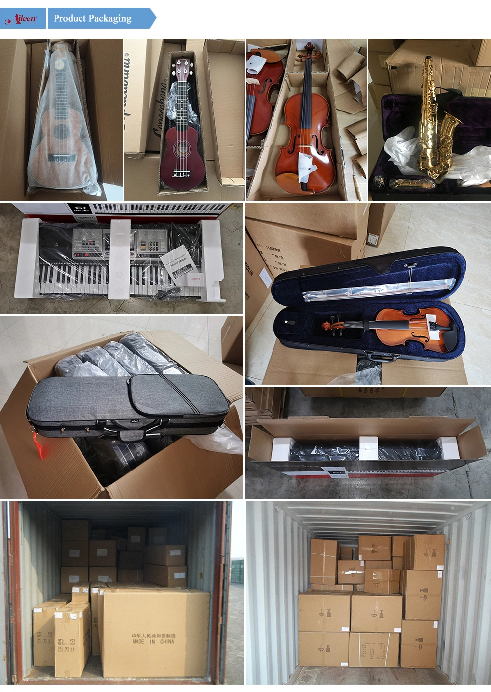 Wholesale Customer New Design Colorful Violin Case (CSV-F18-D)