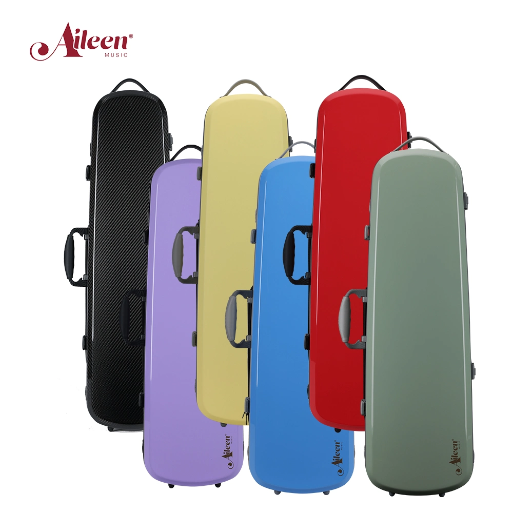 Unique Appearance Design Cherishing Series 4/4 Violin Case (CSV-C68)