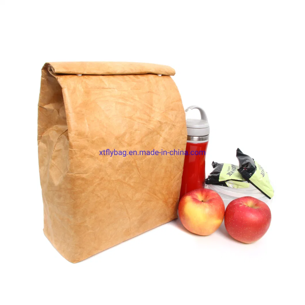 Insulated Canvas Lunch Bag Vegan Animal Free Product Reusable Keeps Food and Drinks Cool Is Ethical Work and School Day Travel Cooler