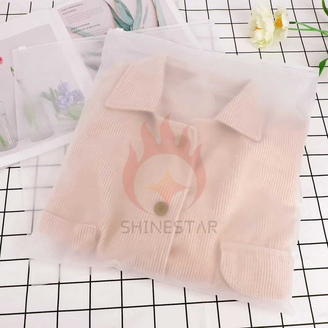 Frosted LDPE Slide Zipper Bag Poly Bags Plastic Packaging Bag for Medical, Travel