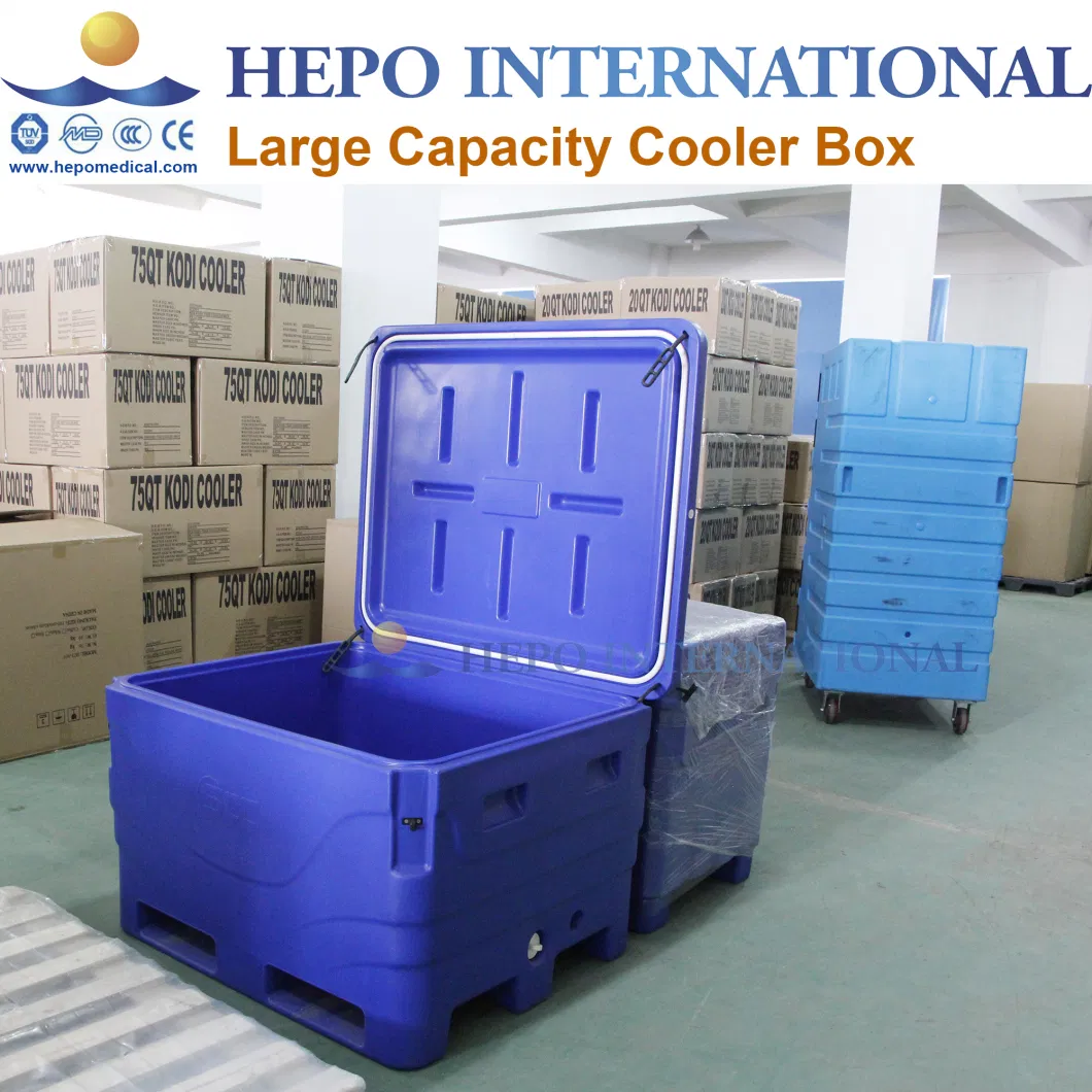 12L Digital Display Vaccine Tranporting Ice Cooler Box (HP-CL12E)