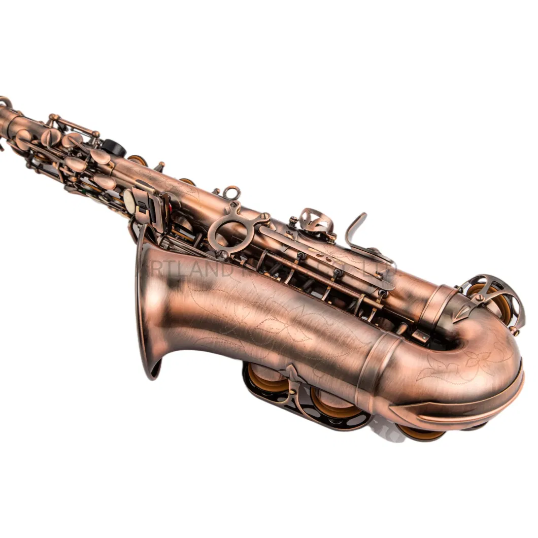 Eb Alto Saxophone Antique Finish Red Bronze, Light Carbon Saxophone Case (AAS5507AG)