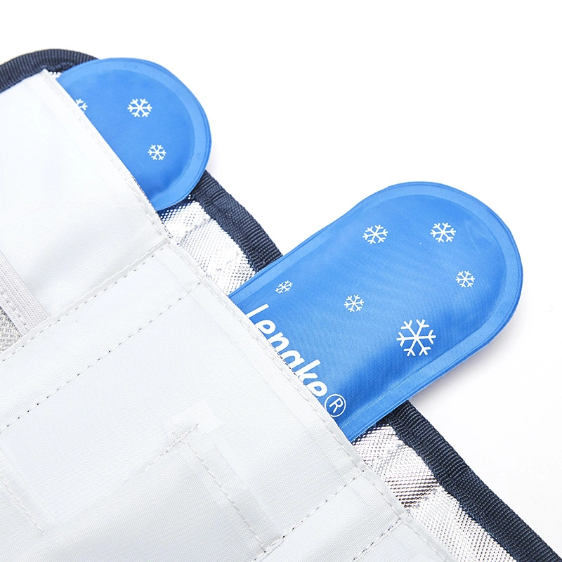 Customized Oxford Insulin External Refrigerated Medicine Thermal Insulation and Cold Pack Portable Waterproof Ice Pack Ice Pack