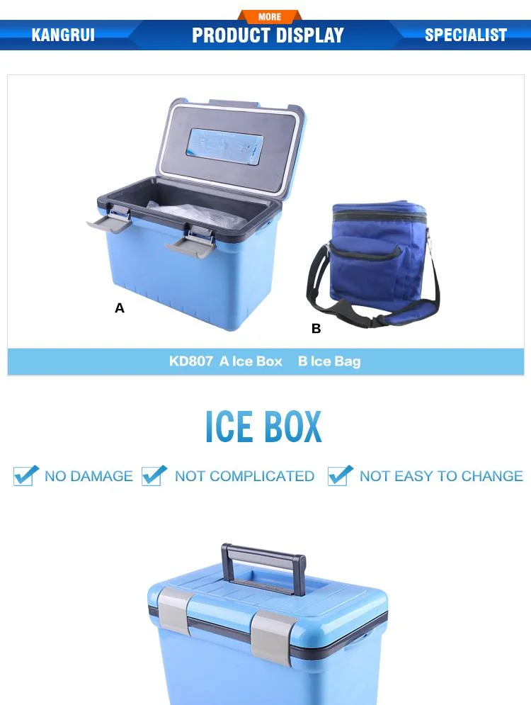 Portable Poultry Vaccine Cooler Box with Ice Packs for Medicine