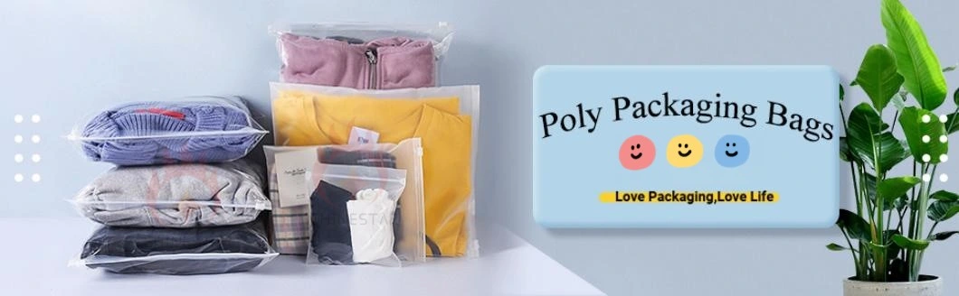 Frosted LDPE Slide Zipper Bag Poly Bags Plastic Packaging Bag for Medical, Travel