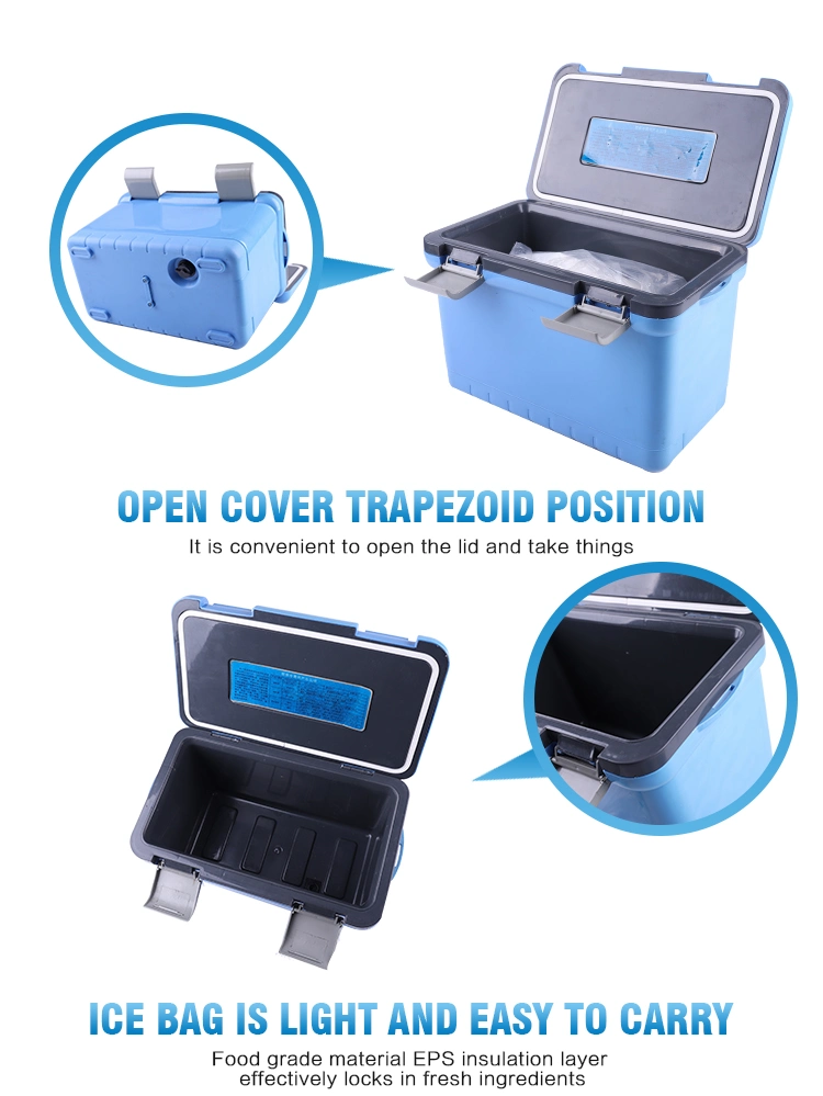 Portable Poultry Vaccine Cooler Box with Ice Packs for Medicine