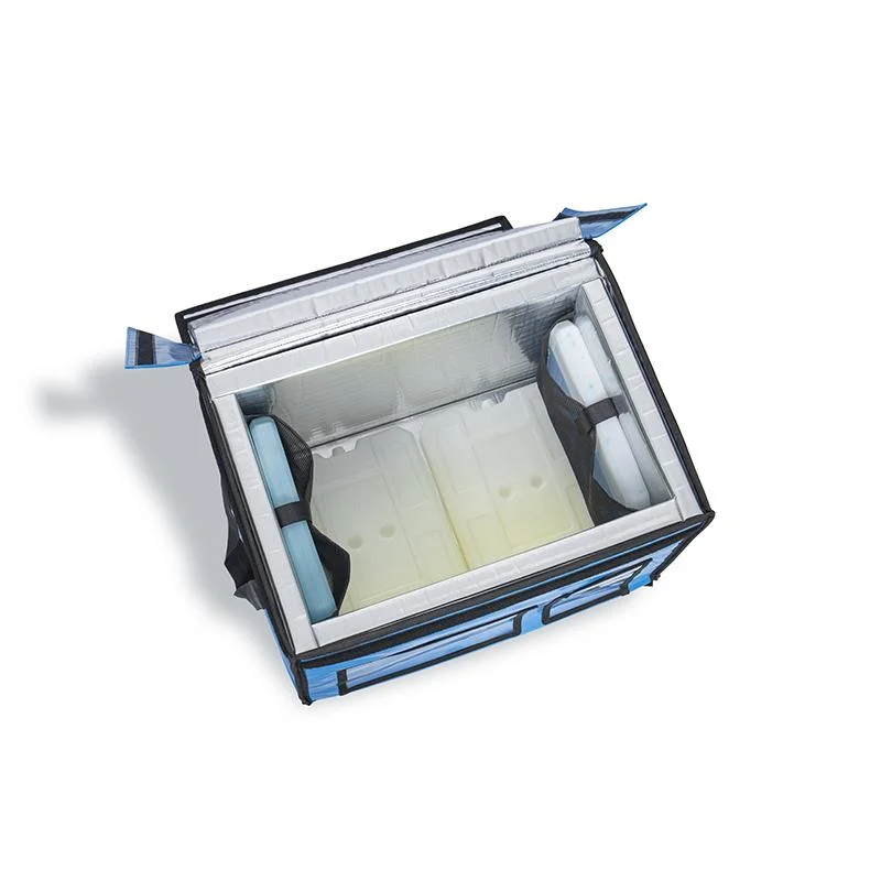 Medical Thermal Bag Reusable Medical Ice Refrigerated for Food and Cold Delivery