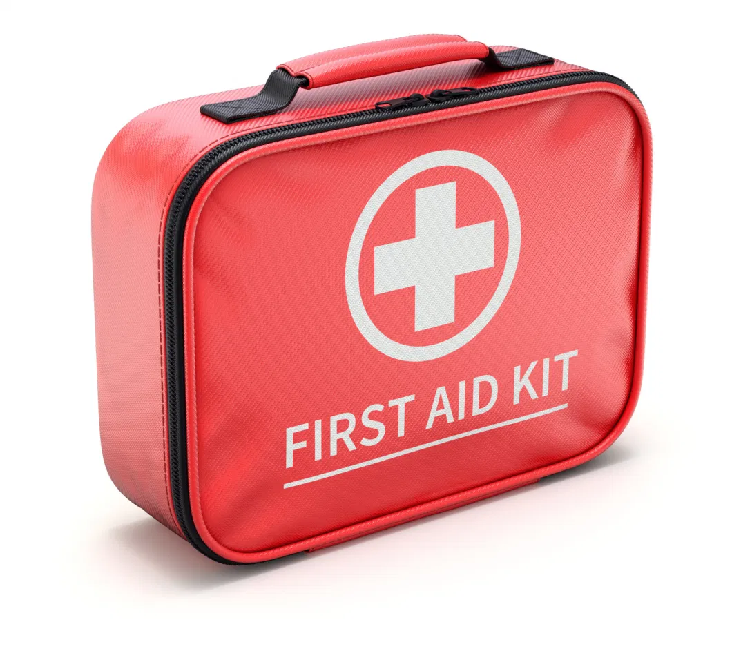 Wholesale Custom EVA Pet First Aid Kit Bag