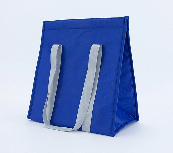 Small Cooler Bag for Medicine Non Woven Fabric Thermal Bag for Promotion Custom Lunch Bag with Insulation Foam Food Packaging Insulated Bags for Delivery