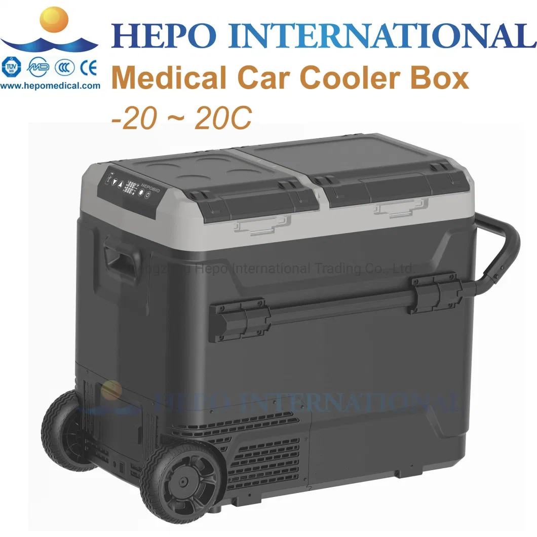 Long Time Vaccine Cooling Storage Transport Large Capacity Ice Cooler Box