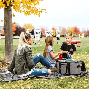 Portable Collapsible Cooler Tote Bag for Camping Lunch Beach Picnic