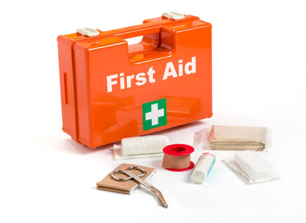 Wholesale Custom EVA Pet First Aid Kit Bag