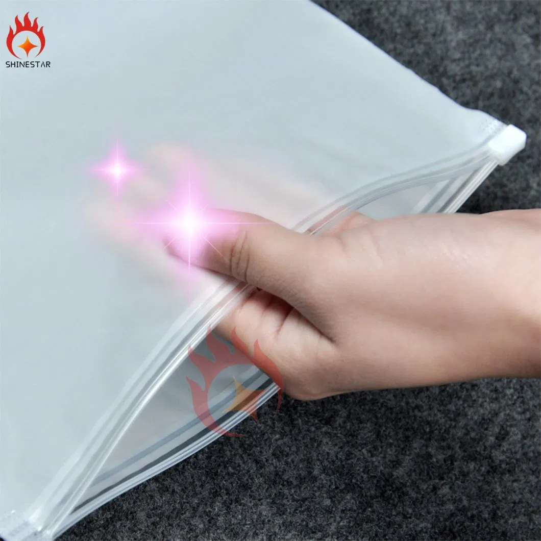 Frosted LDPE Slide Zipper Bag Poly Bags Plastic Packaging Bag for Medical, Travel