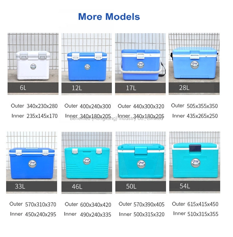 2~8 C Medical Vaccine Cooler Insulin Portable Cooler Box Ice Box