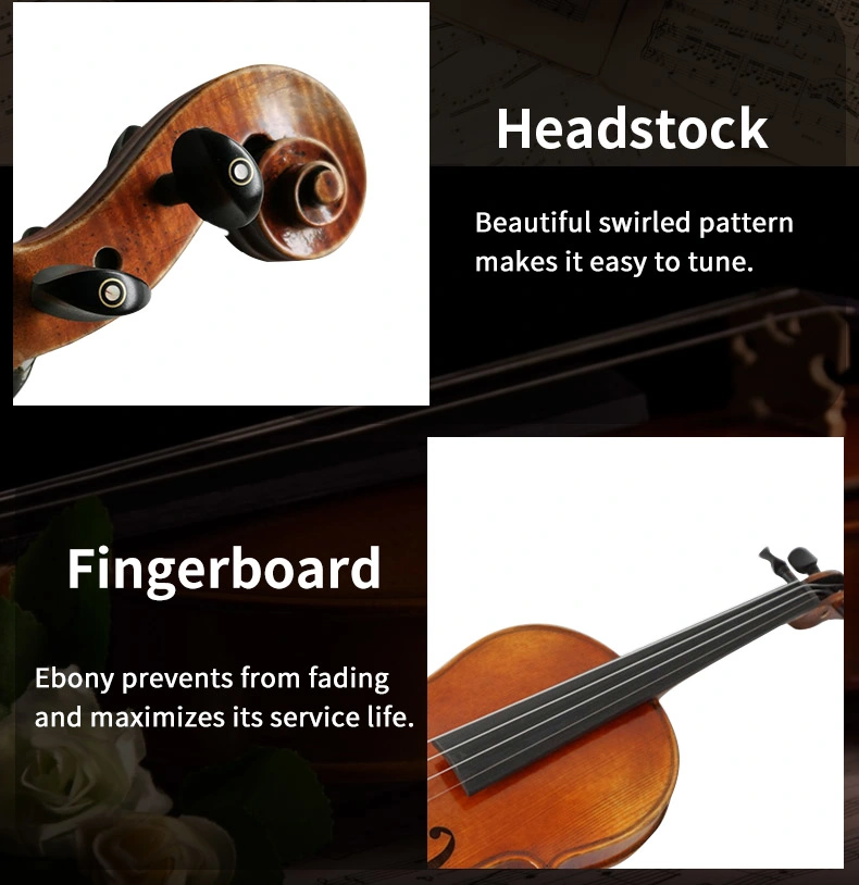 Buy Aiersi Brand High End Grade Antique Red Brown Violin with Case, Brazillwood Bow and Rosin