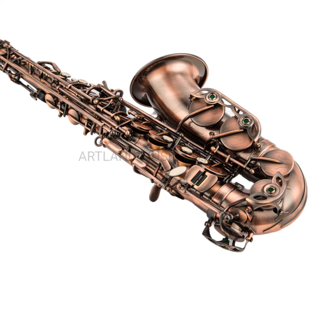 Eb Alto Saxophone Antique Finish Red Bronze, Light Carbon Saxophone Case (AAS5507AG)