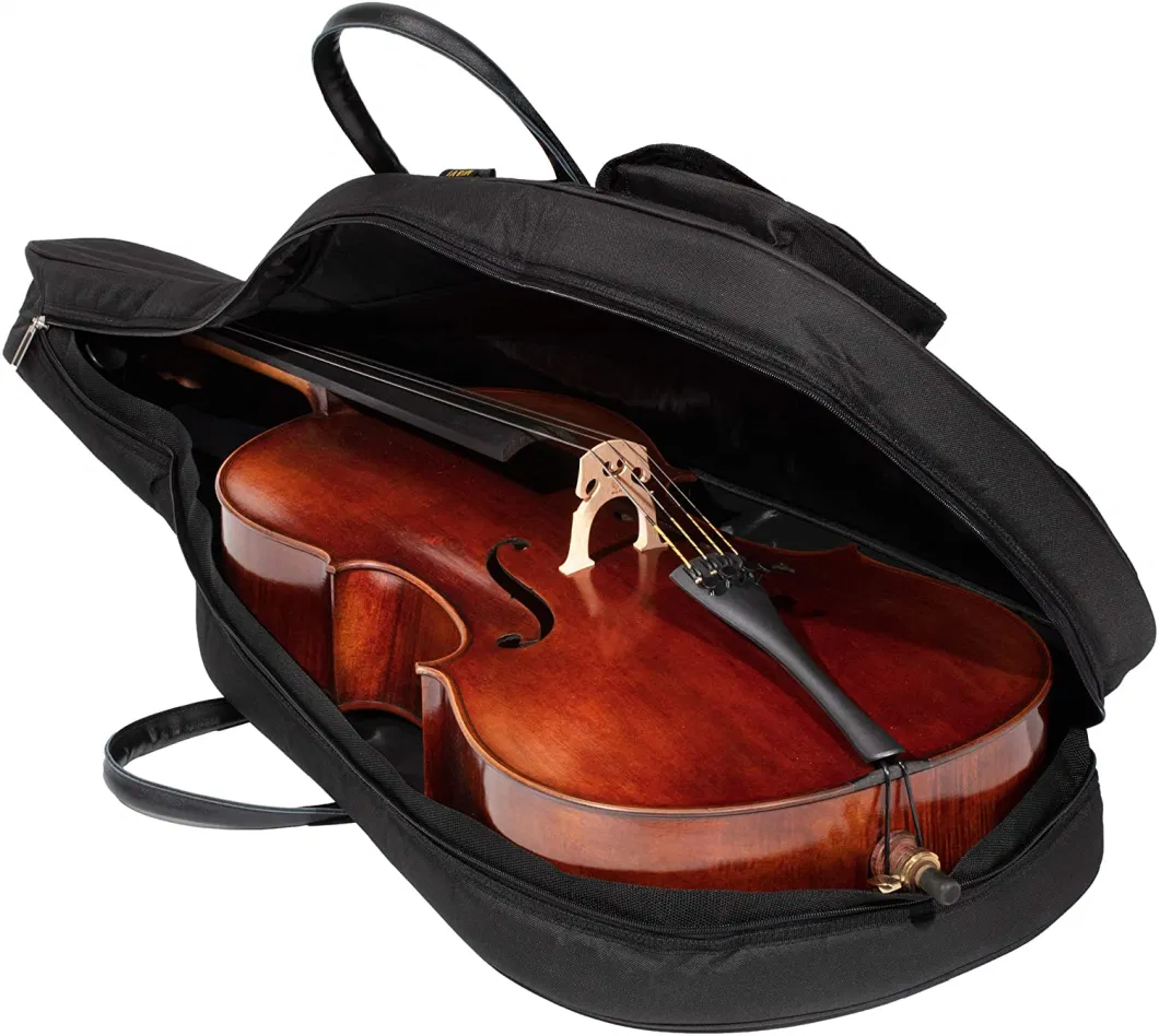 Custom Travel Gig Waterproof Musical Instrument Bags Cello Case Bag