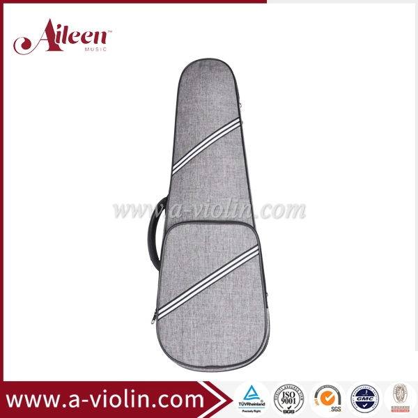 [Aileen]Triangle Shape with Tow Bow Holders Violin Light Case (CSV012B1)