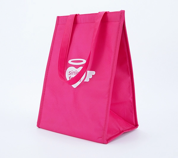 Large Plastic Thermal Bag with Bottom and Gusset LDPE Isothermal Cooler Bag Custom Logo Insulated Bags for Food Delivery Hot Cold Bag