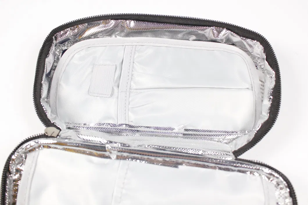 Frozen Portable Medicine Insulin Cold Thermal Case Bag with Ice Bar Customized for Travelling