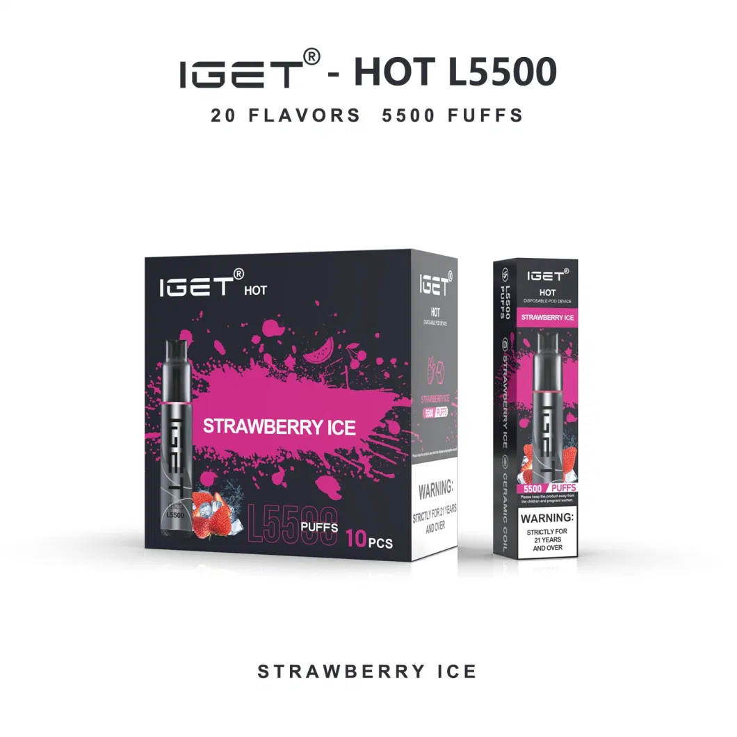 Wholesale Original Iget Me 5000 Puff Bar Mesh Coil Disposable Electronic Wholesale Disposable Vape Pen