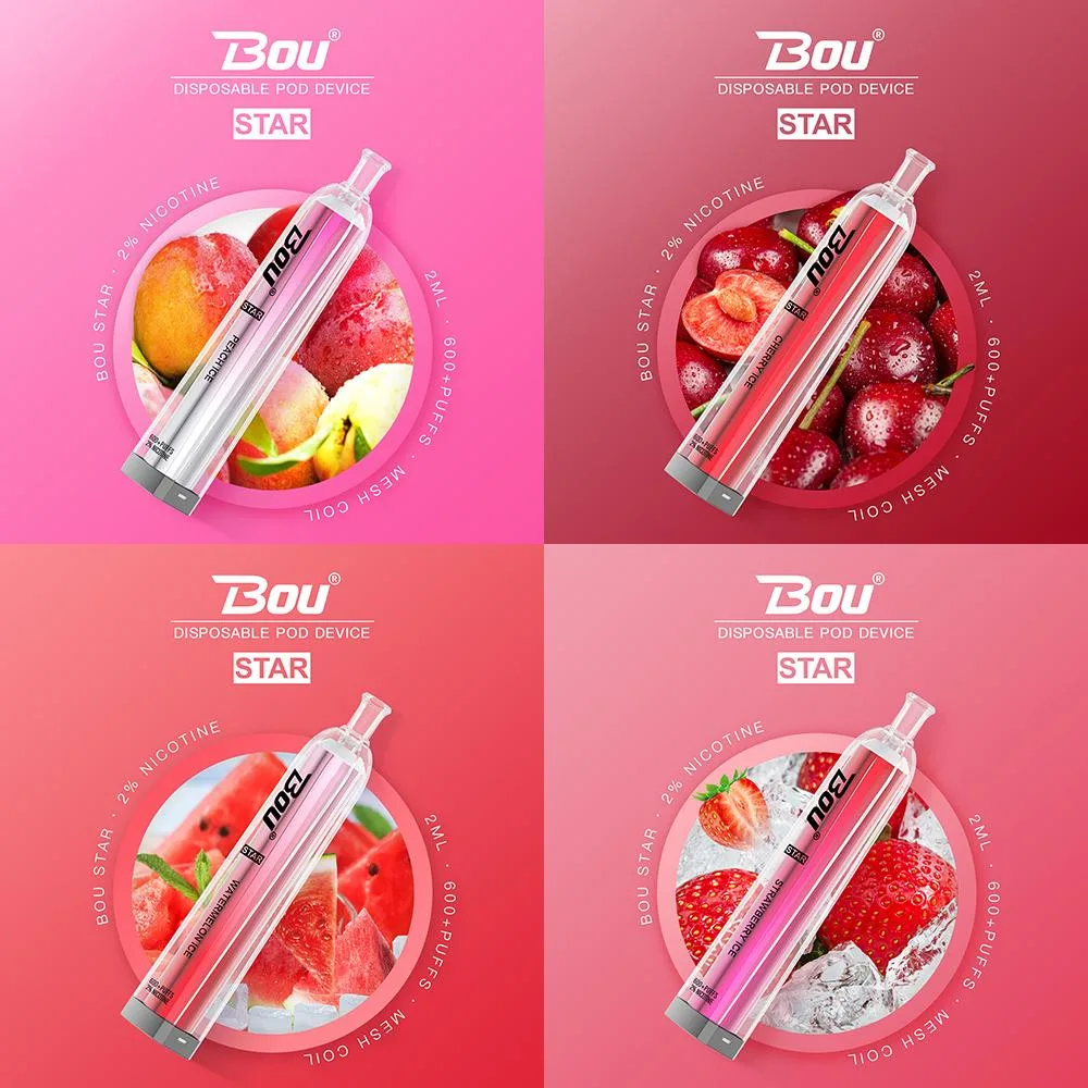 Wholesale E Cigarette Bou Star 600puffs Pod Battery 500mAh 2ml Disposable Pod Bang XXL Vape