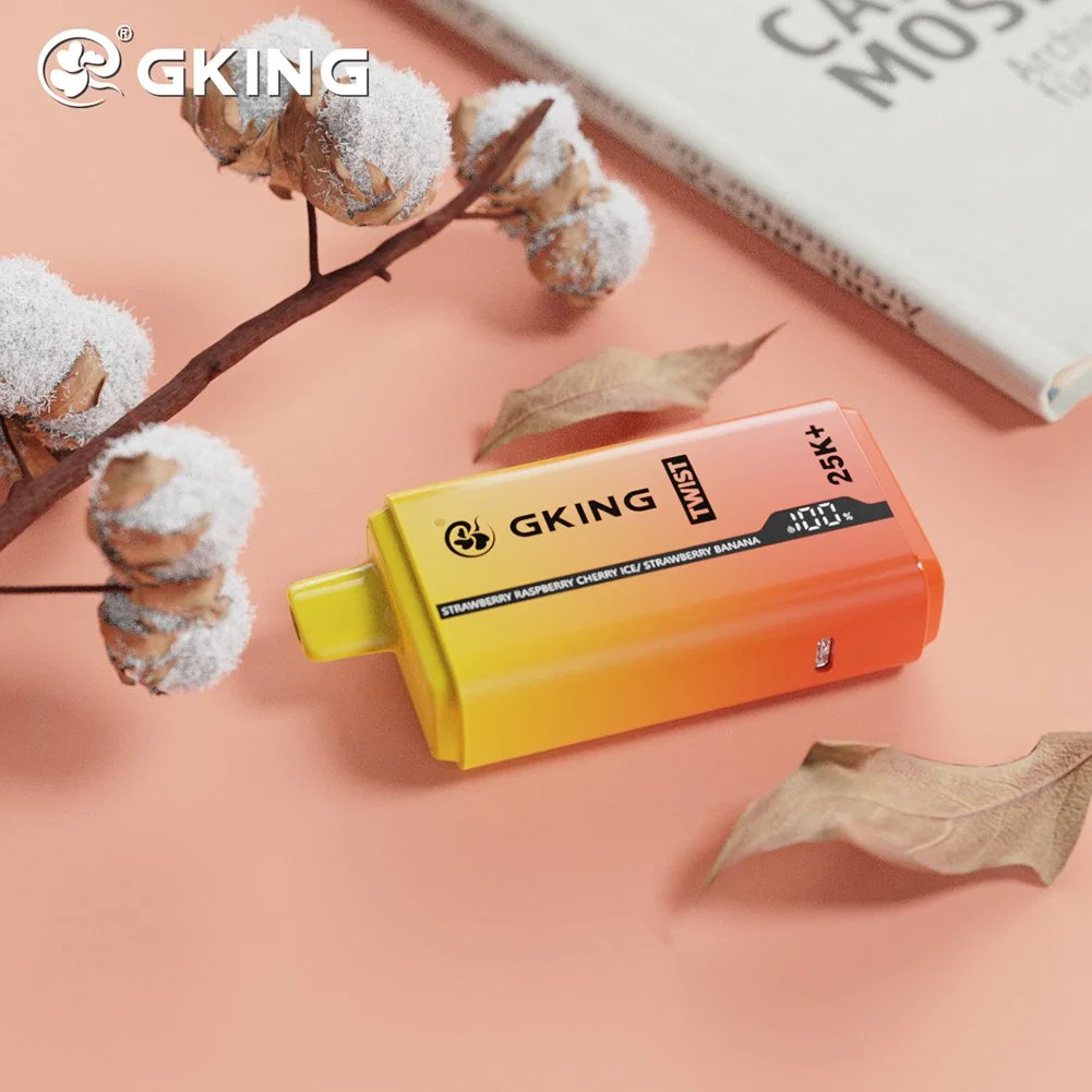 Gking Factory 2 in 1 Dual Flavors Disposable Vape 25000 Puffs LED Vape Pen Rechargeable Electronic Cigarette Wholesale Cheap Vape Pen 28ml Pods Vape Kit