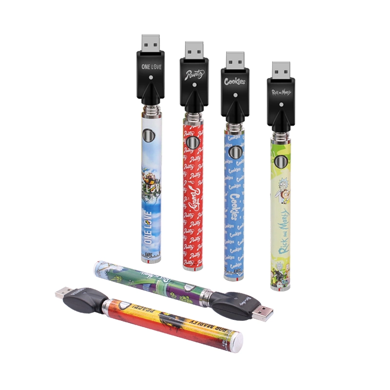 510 Cartridge Vaporizer Pen with USB Charger Blister Packaging Kit