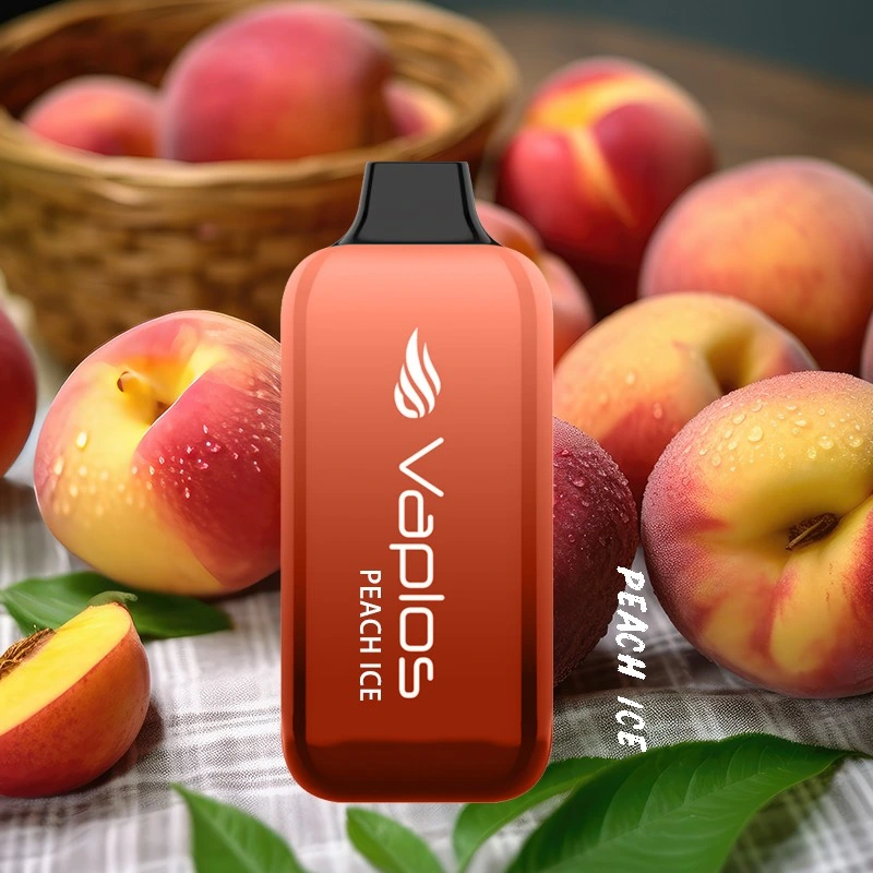 Amazon Electronic Cigarette Zero Nicotine Fruits Flavors E Liquid Vape Pen