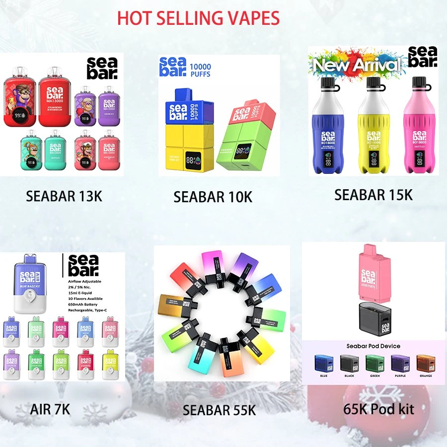 2024 USA UK Slovenia Korea Hot Selling 12000 13000 Puffs 2% 5% Nicotine Disposable Vape Airflow Adjustable 10 Flavors 22ml Electronic Cigarette Seabar Ma Vape