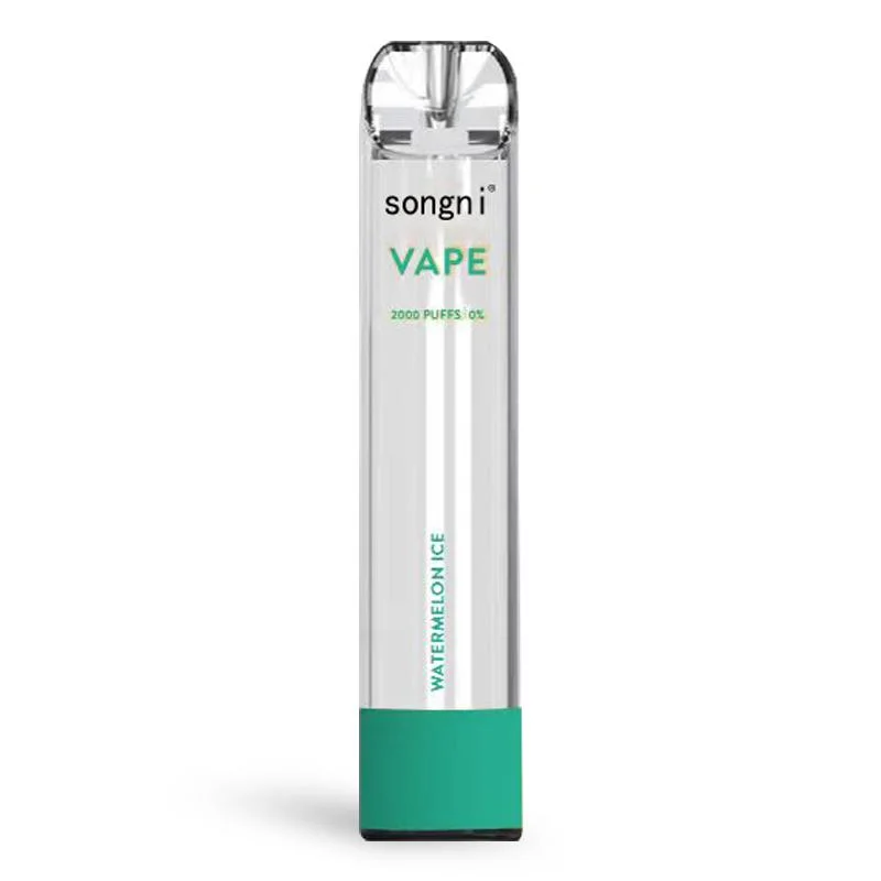 2022 Songni Vapen Bar with All Flavors Vs Puff Bar Disposable Empty Vape Device