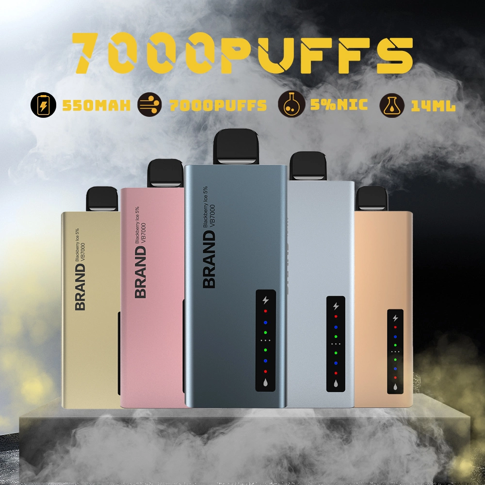 Hot in Europe 7000 Puff No Nicotine Disposable Vape with Custom Logo and Packaging