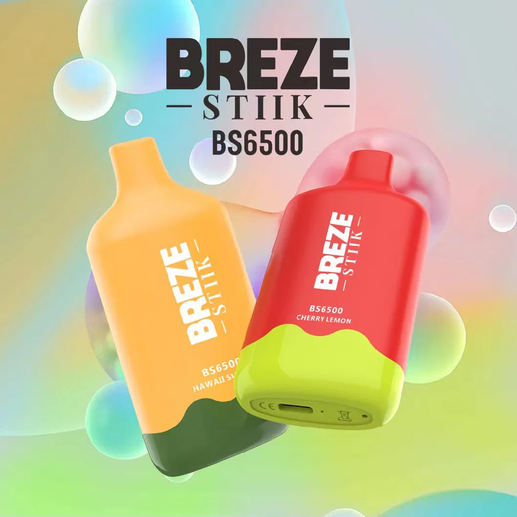 2023 New Popular Breze Stiik BS 6500 Puffs Bar 2%/5% Nicotine Disposable Vape Rechargeable Lost E-Cigarette Mary Vape in Stock