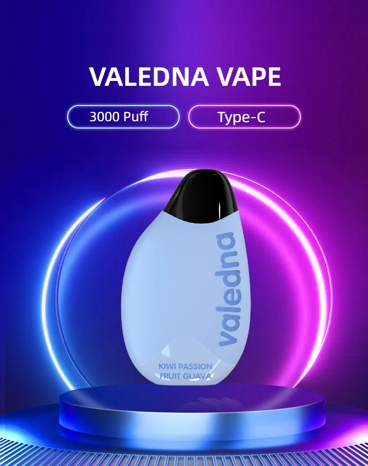 Valedna Wholesale Cheap Nasty Disposable Electronic Vaporizer DAB Vapes Empty Disposable E Hookah 3000 Puff Free Vape Customize Shisha Pen Price Low MOQ