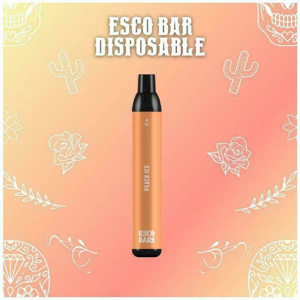 Esco 2500/5000 Puffs Bars Wholesale I Vape Exquisite Product Mesh Coil Disposable Vape Pen