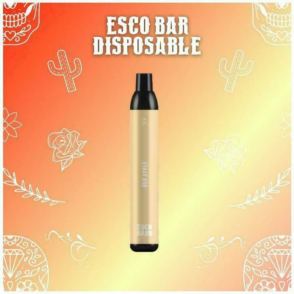 Esco 2500/5000 Puffs Bars Wholesale I Vape Exquisite Product Mesh Coil Disposable Vape Pen