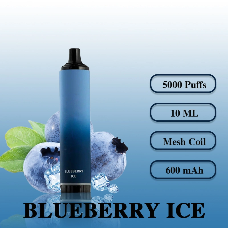 Wholesale 5000 Puffs Custom Rechargeable Vaporizer Pod LED Oil Disposable Vape Pen