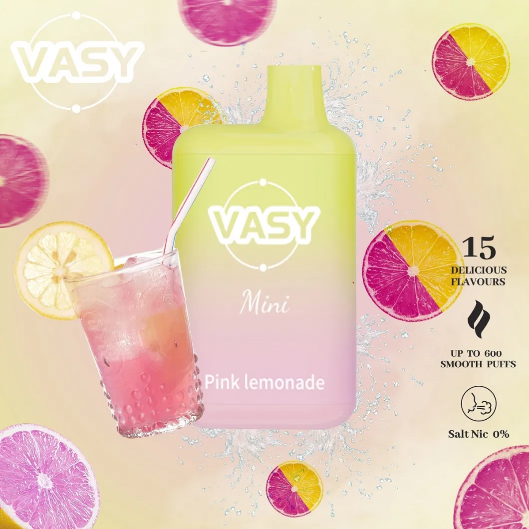 Wholesale Disposable Electronic Cigarette Vasy Mini 600 Puffs Vape Bar 2ml Vs Lostmary